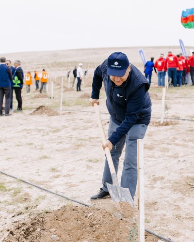 AFB Bankdan ekoloji məsuliyyətə töhfə: ABA-nın təşkilatçılığı ilə ağacəkmə aksiyasında iştirak
